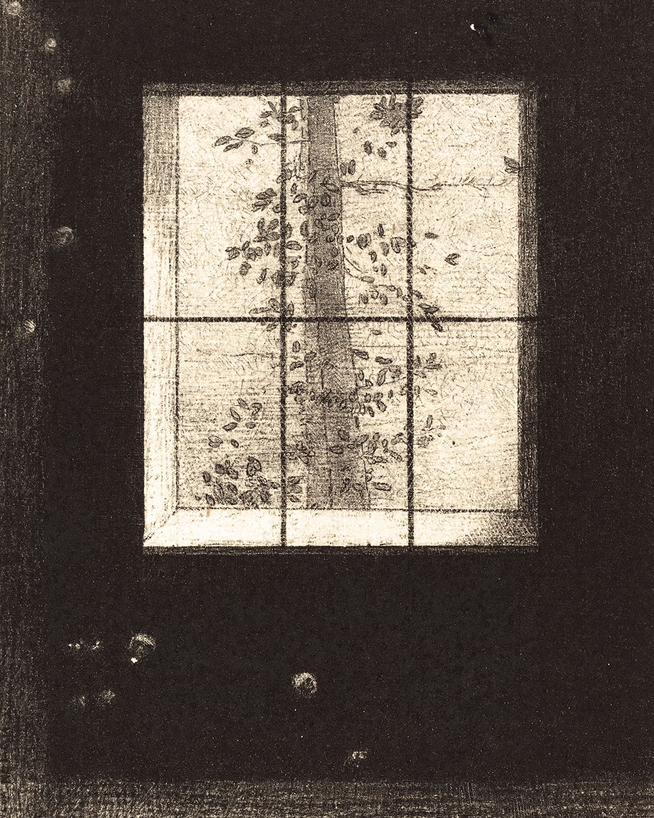 Noir II