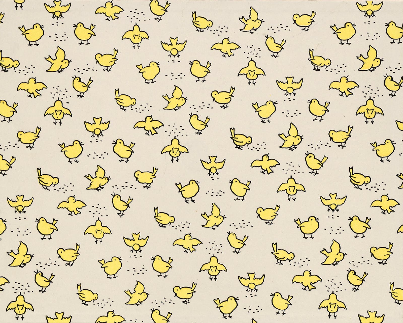 Ducks